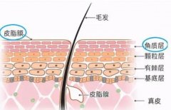 果酸换肤有什么好处，什么是？