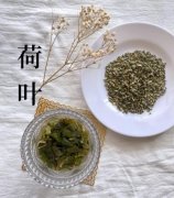 荷叶茶能减肥吗？荷叶茶怎么喝减肥才有效？