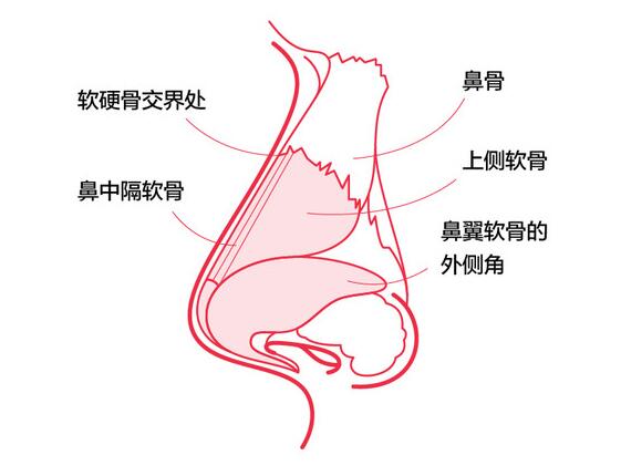 西京医院肖博鼻子整形案例