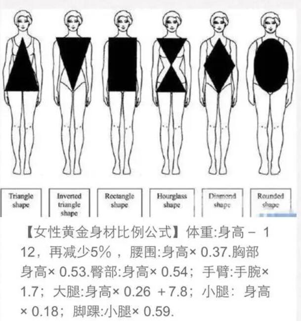 身材可以分为哪几种类型?